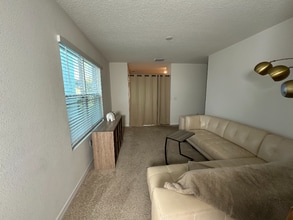 10942 Trailing Vine Dr in Tampa, FL - Building Photo - Building Photo