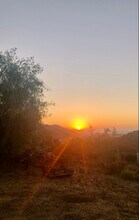 9874 Chocolate Summit Dr in El Cajon, CA - Foto de edificio - Building Photo