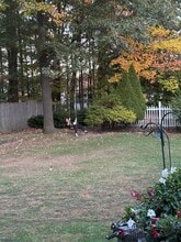 65 Forman Dr in Colchester, VT - Building Photo - Building Photo