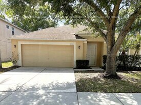 35001 Meadow Reach Dr in Zephyrhills, FL - Building Photo