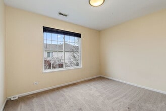 253 Evergreen Cir in Gilberts, IL - Building Photo - Building Photo