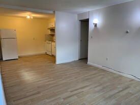 75 Chestnut Hill Ave, Unit 1 Apartamentos