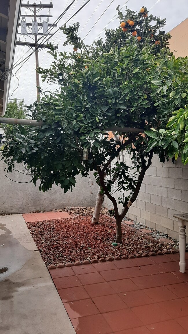 455 W Elk Ave, Unit A