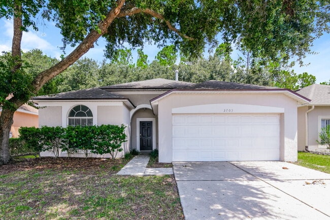 property at 3703 Cinnamon Fern Loop
