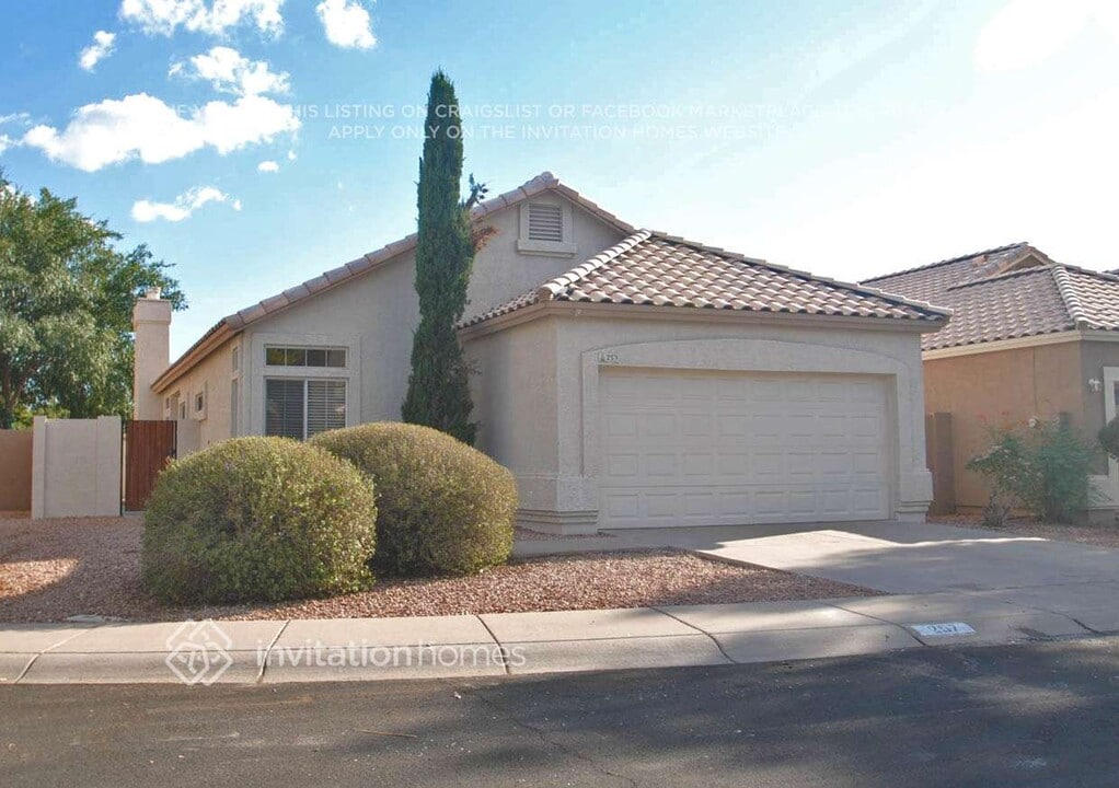 257 W Amoroso Dr in Gilbert, AZ - Building Photo