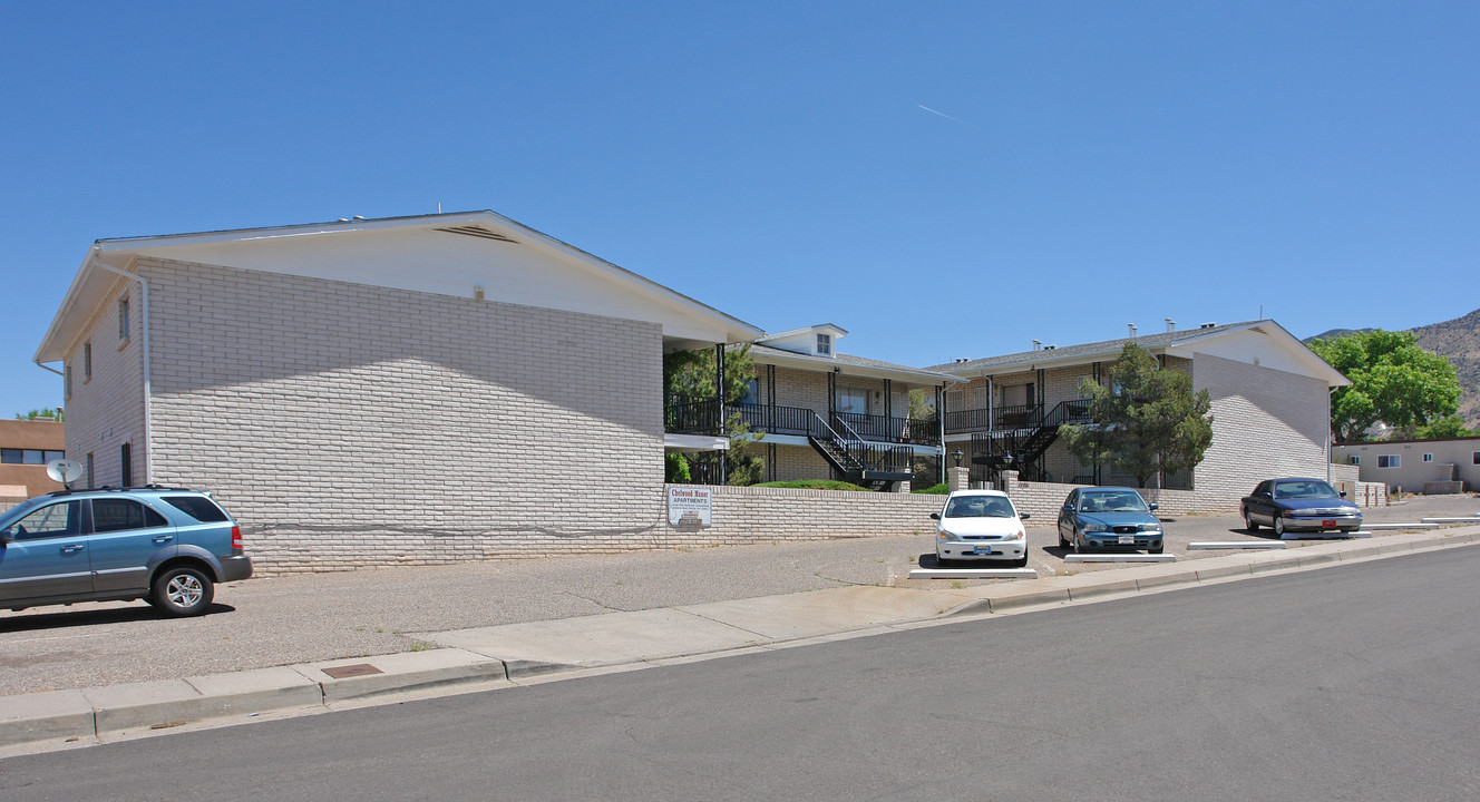 12221 Towner Ave NE in Albuquerque, NM - Building Photo