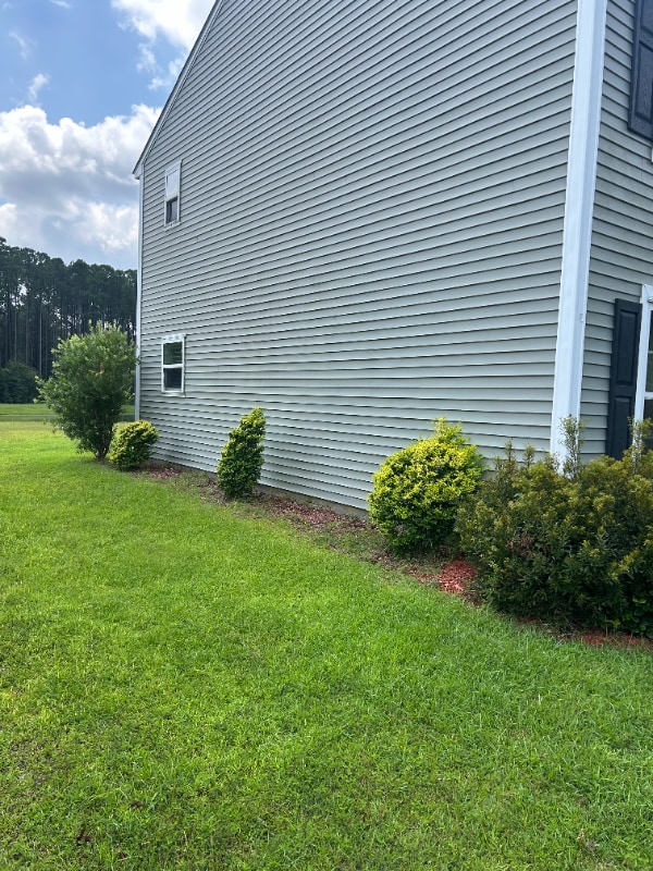 110 Scarlet Oak