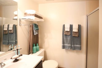 Cedar Lakes Apartments in Lake St. Louis, MO - Foto de edificio - Interior Photo