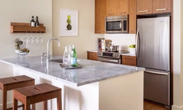 145 Arlington St, Unit 3 in Boston, MA - Building Photo - Building Photo