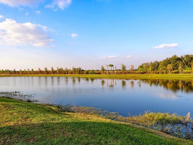 12044 Kingsley Trl in Parrish, FL - Building Photo - Building Photo