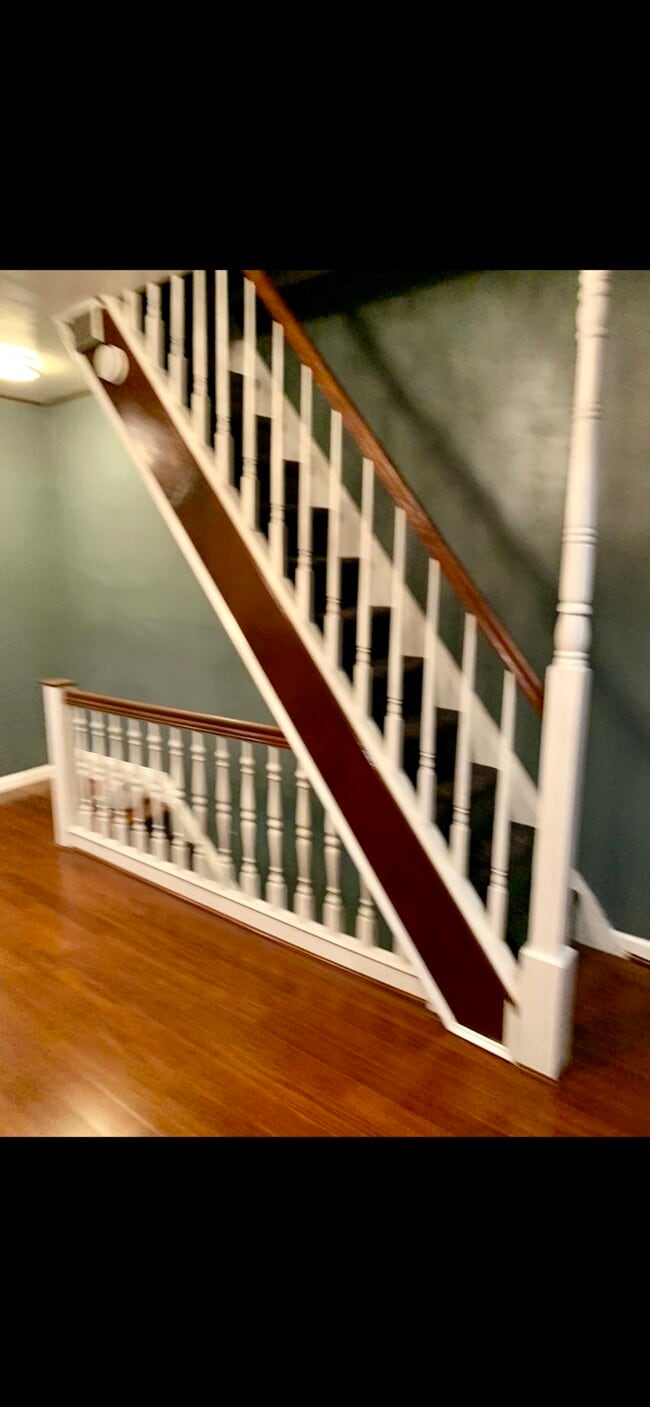 143 Delphine St in Philadelphia, PA - Building Photo - Building Photo