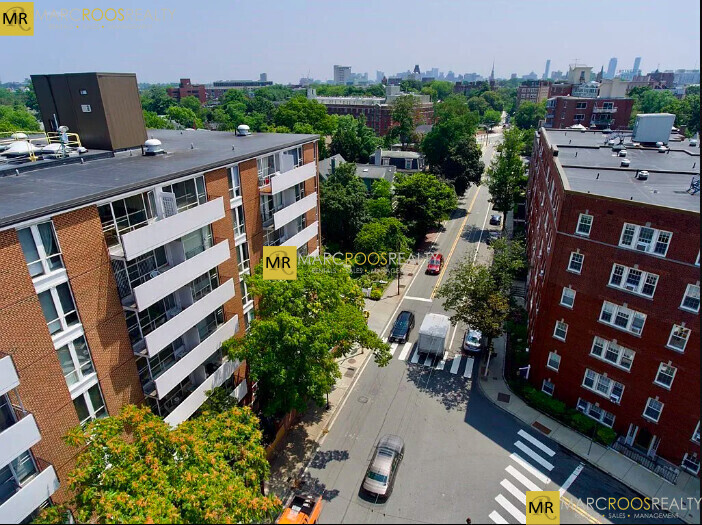 29 Concord Ave in Cambridge, MA - Building Photo