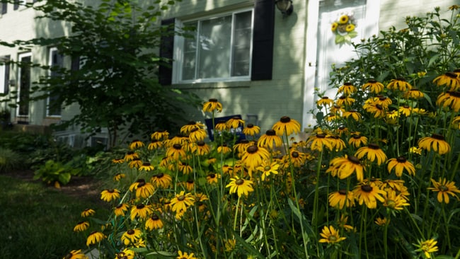 property at 1729 N Cliff St