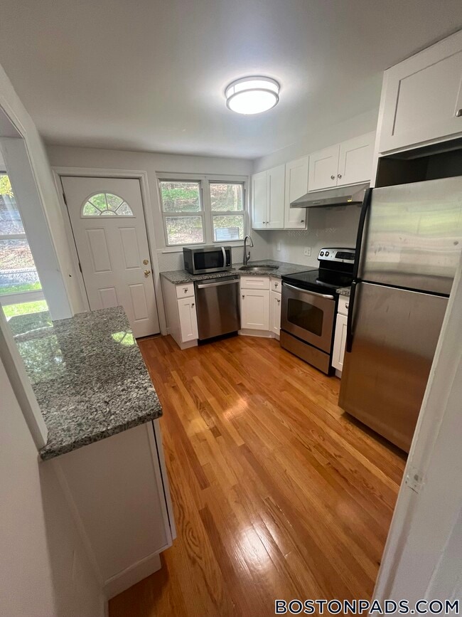 119 Chestnut St in Brookline, MA - Building Photo - Building Photo