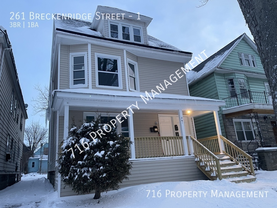 261 Breckenridge St in Buffalo, NY - Building Photo