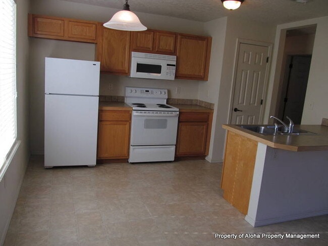 1053 W Pine Ave in Meridian, ID - Building Photo - Building Photo