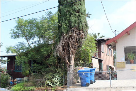 810 N Bonnie Brae St in Los Angeles, CA - Foto de edificio