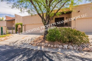 9876 N Ridge Shadow Pl in Oro Valley, AZ - Building Photo
