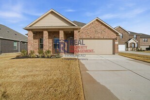308 Gallant Man Ct in Granbury, TX - Building Photo