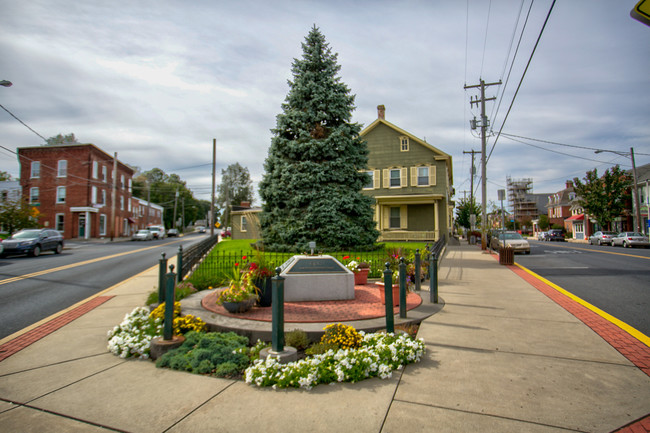 50-52 E. Main Street Mount Joy in Mount Joy, PA - Building Photo - Other