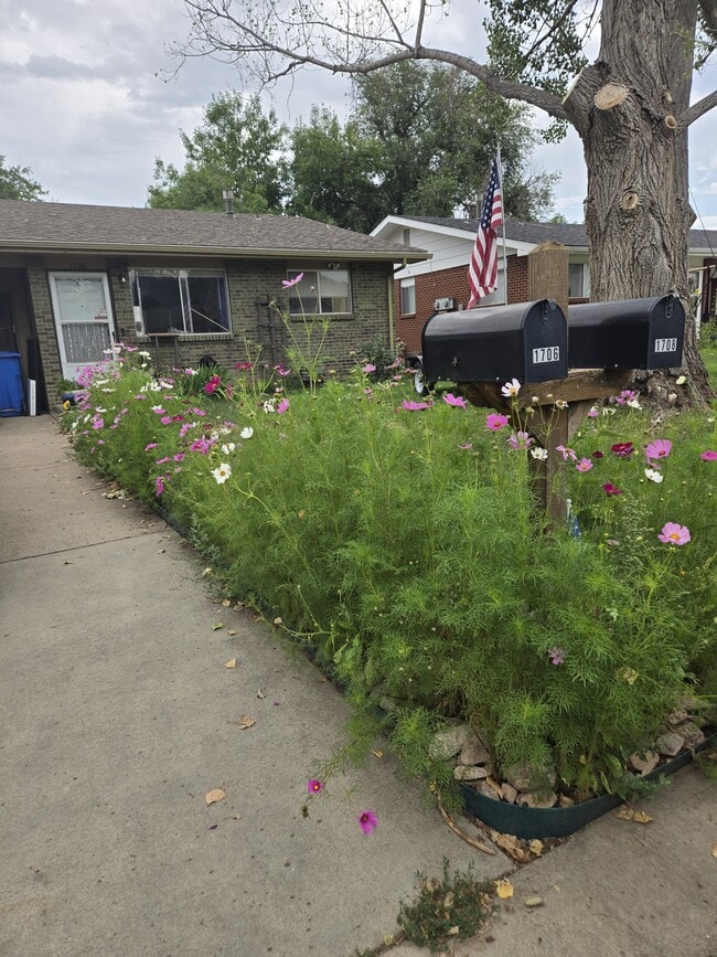 property at 1708 Larch St