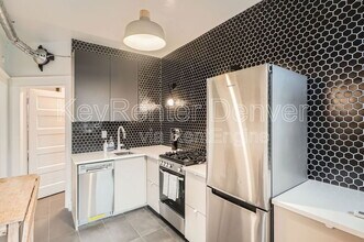 227 S Logan St in Denver, CO - Building Photo - Building Photo