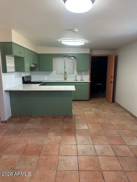 1705 6th Green St in Douglas, AZ - Building Photo - Building Photo