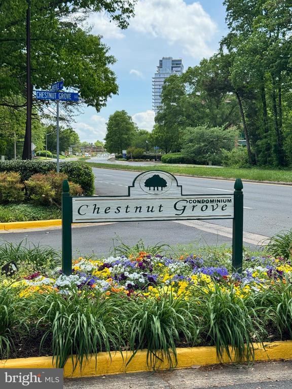 11200 Chestnut Grove Square in Reston, VA - Building Photo - Building Photo