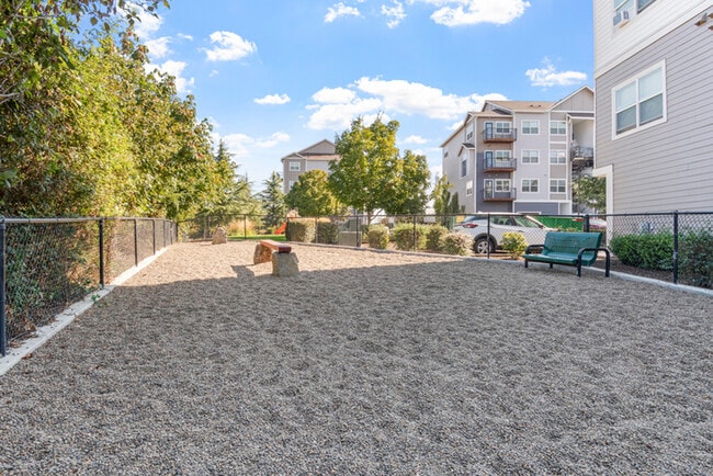 Element 170 Apartments