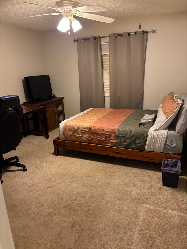 property at 250 San Paulo Cir