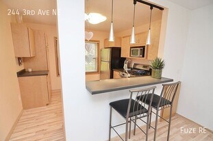 244 3rd Ave NE in Minneapolis, MN - Building Photo