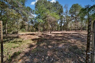 204 Morris Ln in Huntsville, TX - Building Photo - Building Photo