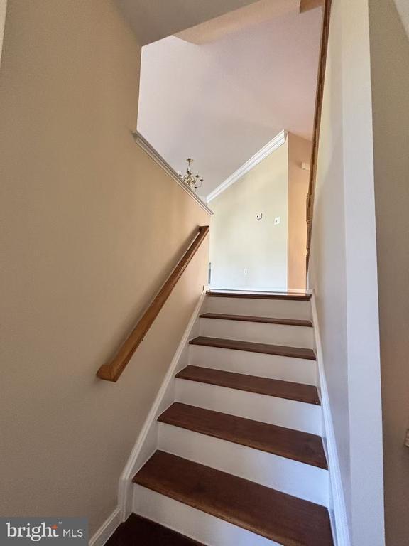 6635 Creek Point Way in Alexandria, VA - Building Photo - Building Photo