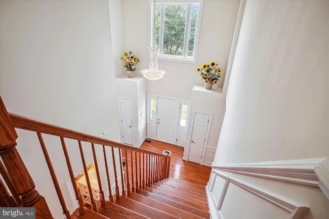 2907 Dumas St in Alexandria, VA - Building Photo - Building Photo