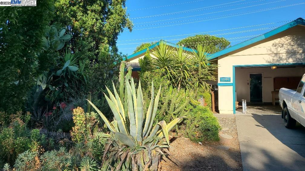 1501 L St in Davis, CA - Building Photo