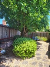 332 Belhaven Pl in Santa Rosa, CA - Building Photo - Building Photo