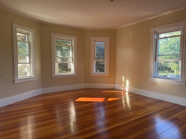 property at 159 Plymouth St