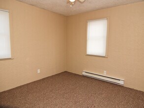 530 E 3rd St in Coal City, IL - Building Photo - Building Photo