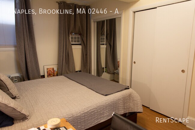 7 Naples Rd in Brookline, MA - Building Photo - Building Photo