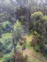 555 Pierce St in Albany, CA - Building Photo