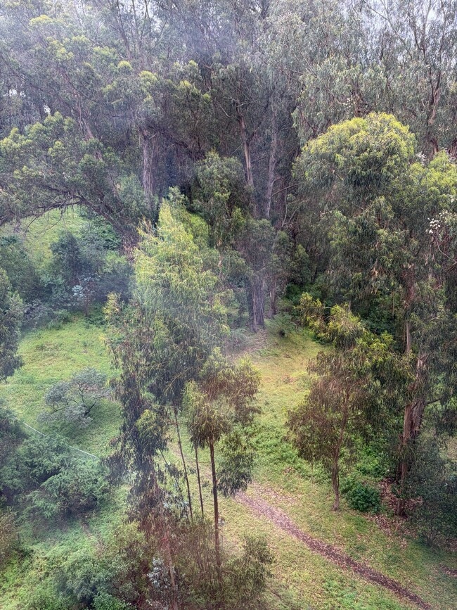 property at 555 Pierce St