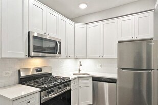 254 S. Maple Ave. in Oak Park, IL - Building Photo