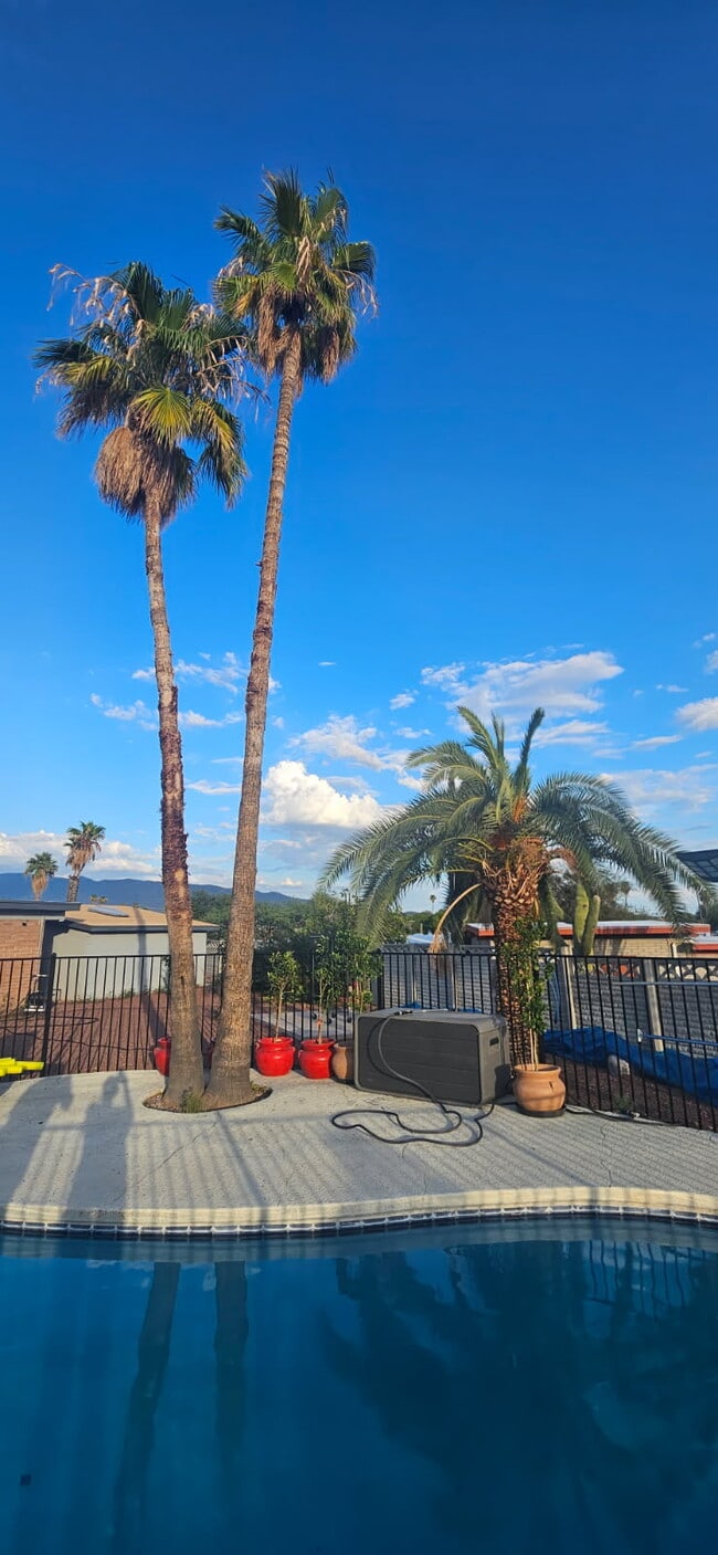 9412 E Deer Trail Pl in Tucson, AZ - Building Photo - Building Photo