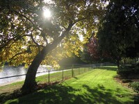 Lakeside Village in Marysville, CA - Building Photo - Building Photo