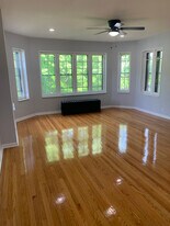 8115 S Langley Ave, Unit 3 in Chicago, IL - Building Photo