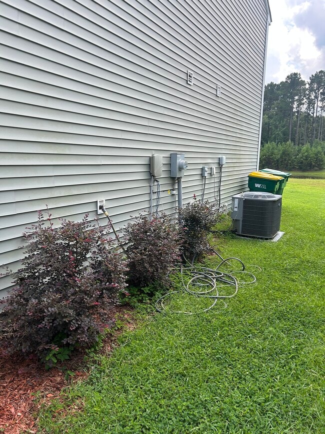 110 Scarlet Oak
