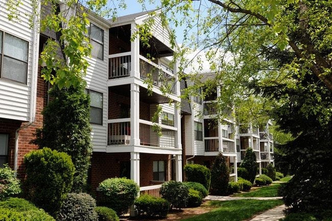 Oak Tree Village