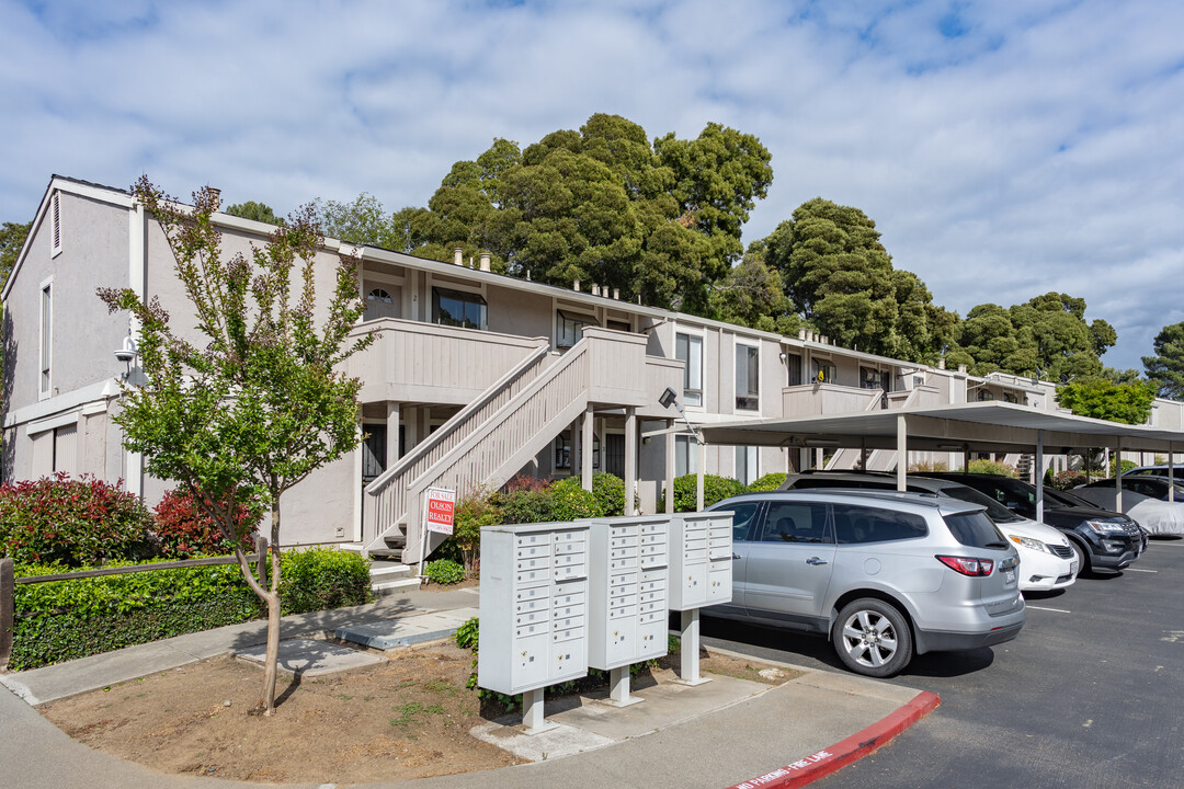 Bay View Villas in Benicia, CA - Building Photo