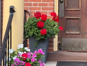 71 Warren St, Unit 1 plus bedroom Wooster Sq in New Haven, CT - Foto de edificio - Building Photo