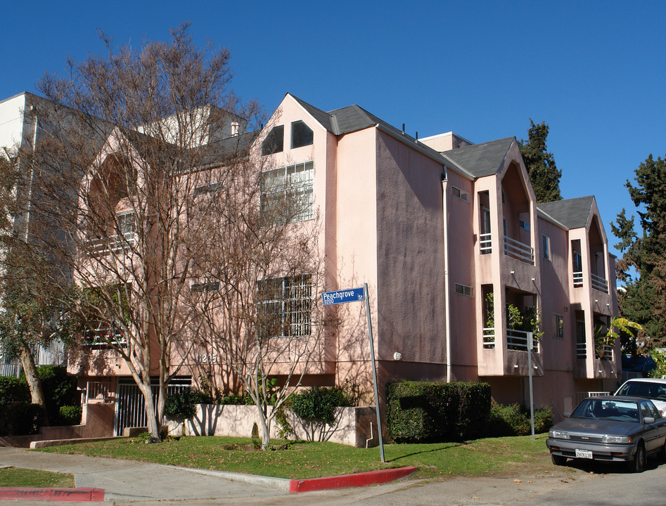 11205 Peachgrove St in North Hollywood, CA - Building Photo